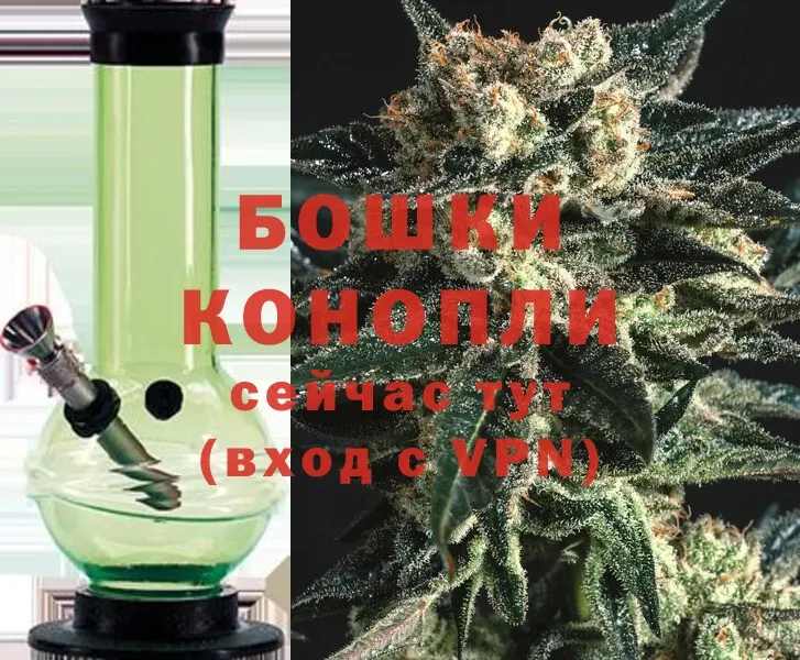 продажа наркотиков  Высоковск  Шишки марихуана SATIVA & INDICA 